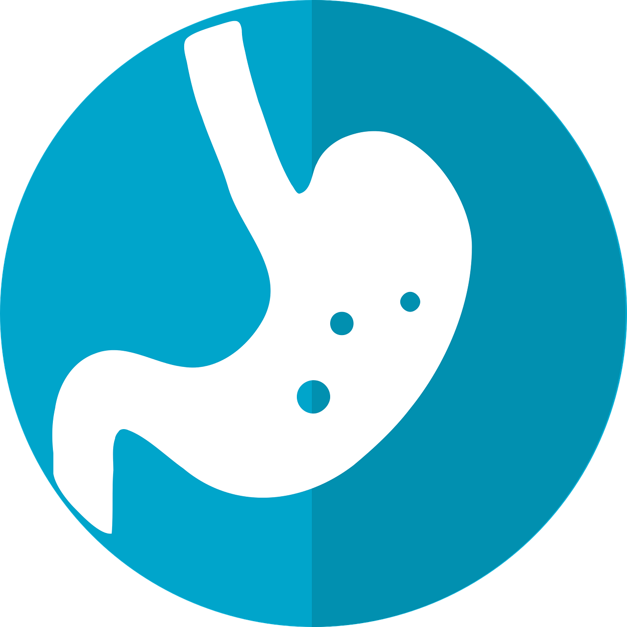 stomach icon, stomach, icon-2316627.jpg